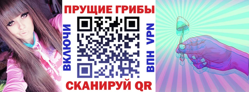 Купить  Зима  Псилоцибиновые грибы прущие грибы 