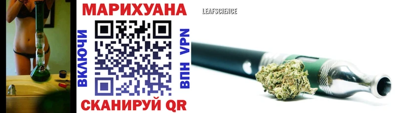Бошки Шишки гибрид Зима